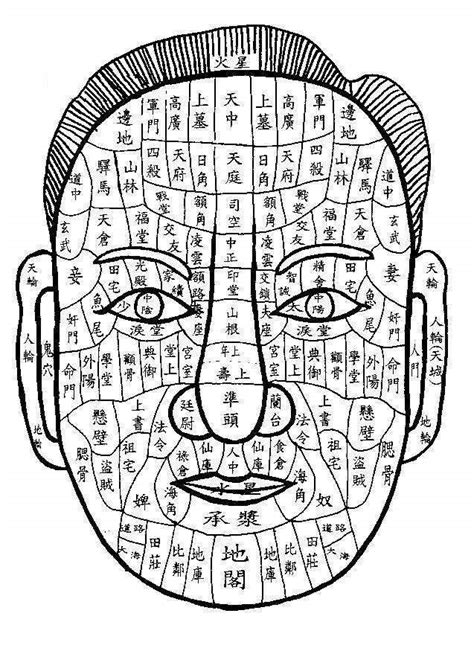 面相氣色|【面相氣色】深入解析面相氣色：揭開你的健康與性格密碼 – 最新。